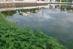 P1240606　映り込み