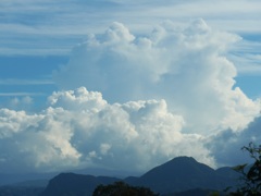 P1110381　モクモク…