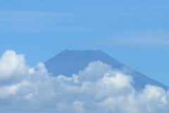 P1310150 (3)　8月19日 今朝の富士山