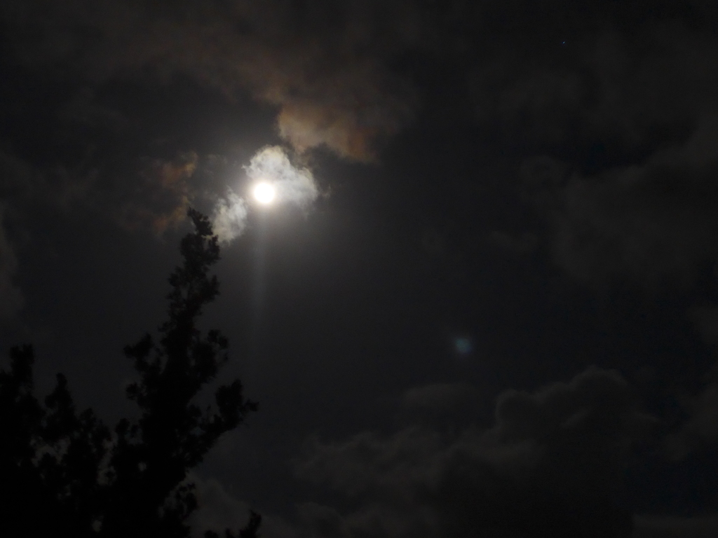 P1150786　今夜の月