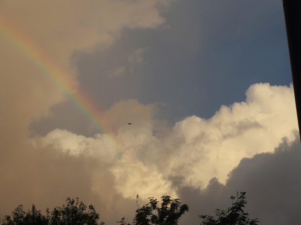P1110348　9月9日 朝の空 虹 ♪