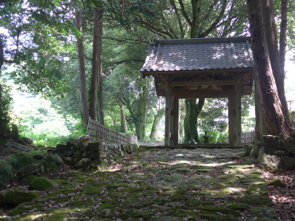 P1100202　伊豆高源寺