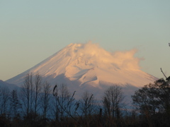 P1130170　12月24日 今朝の富士山