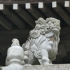 P1035029　狛犬さん