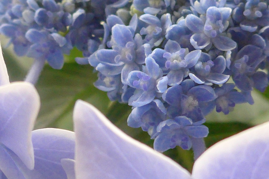 P1220874　窓辺にて