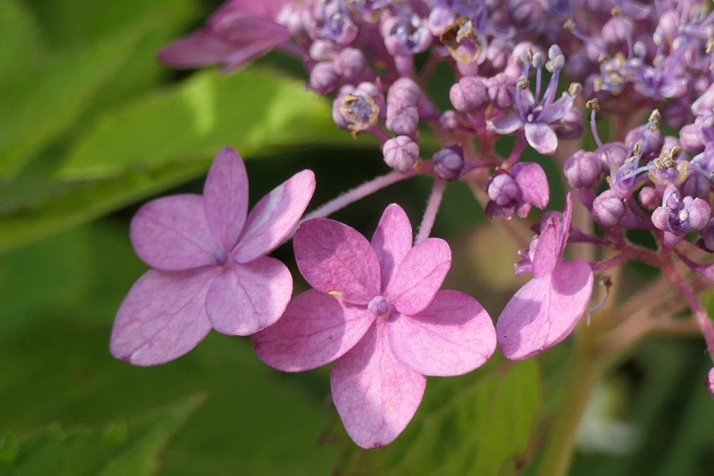 P1023778　優しく