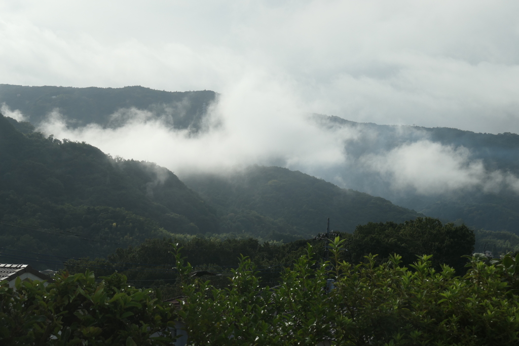 P1046816　ある雨上がりの朝