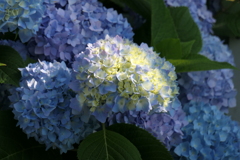 P1012132　スポットライト