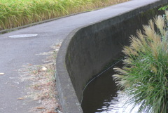P1310392　秋の散歩道