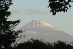 P1190058　11月10日 今朝の富士山