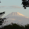P1190058　11月10日 今朝の富士山