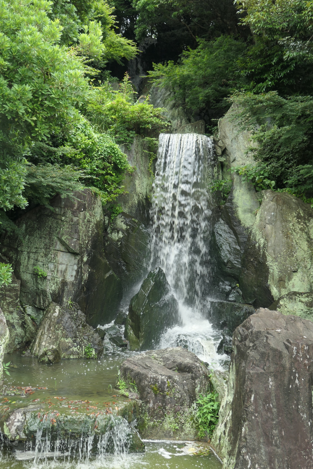 P1023985　可睡ゆりの園にて