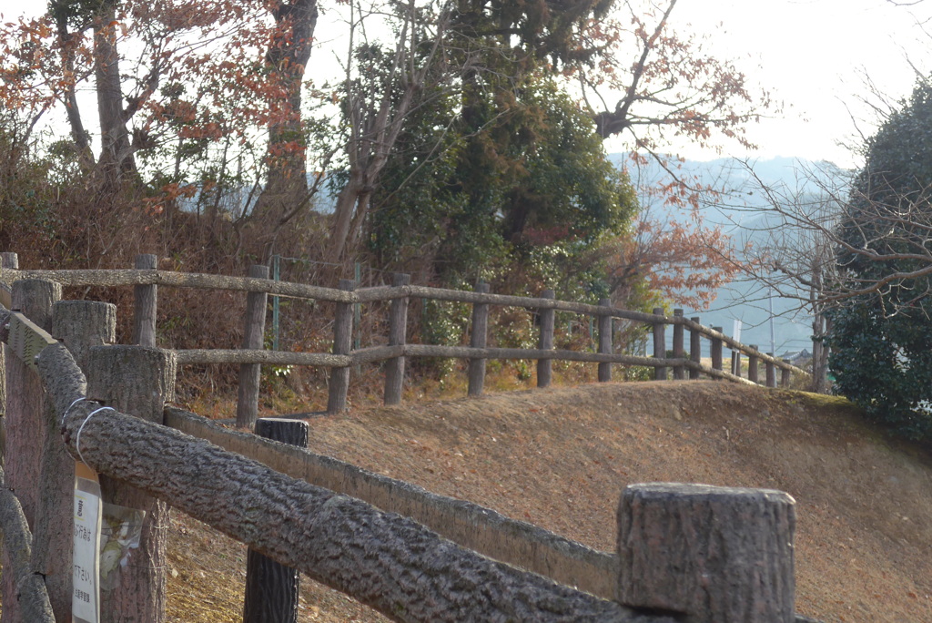 P1290203　散歩道