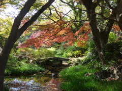 秋色の公園