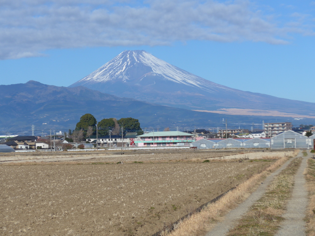１月４日　富士山