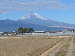 １月４日　富士山