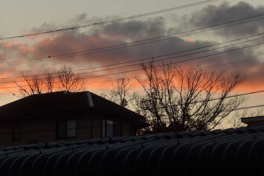 P1390343　朝焼け雲