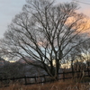P1069698