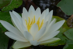 P1160657　信頼