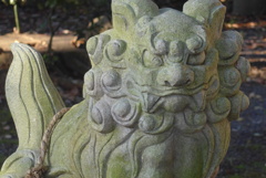 P1250205　狛犬さん