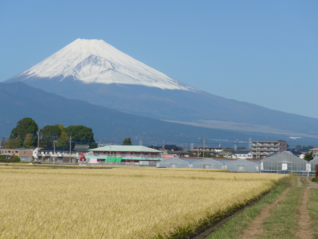 P1120112　10月21日 今日の富士山