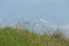 P1160062　6月1日 夏草と富士山