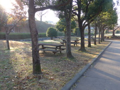 朝の公園