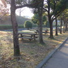 朝の公園