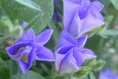 P1320958　