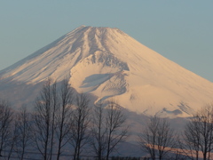 P1070287 2月14日 今朝の富士山 P1070287 2月14日 今朝の富士山