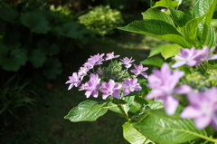 R0352381　ダンスパーティー