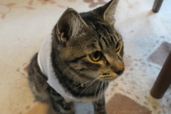 P1080887　新しい家族