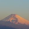 P1070442 　３月３日 今朝の富士山