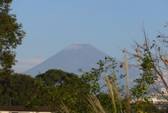 P1280589　10月16日 今朝の富士山