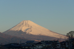 P1190647　1月5日 今朝の富士山