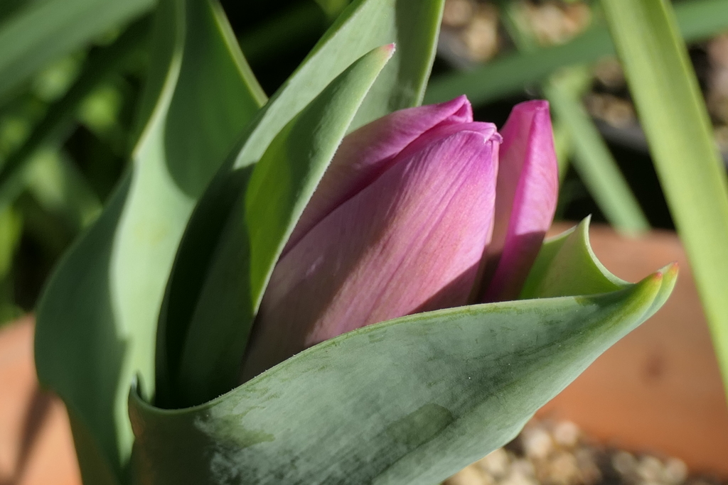 P1035270　お目覚め