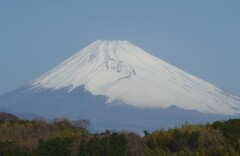 P1260400 (2)　3月17日 今朝の富士山