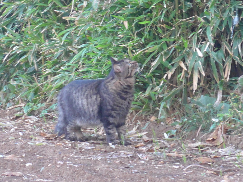 P1120028　何見つけた？