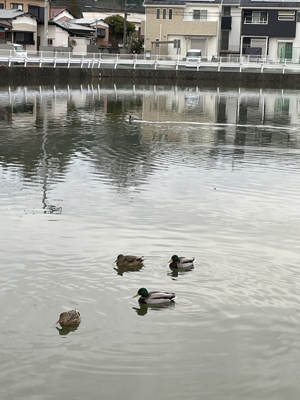 IMG_0341　映り込み