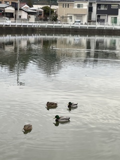 IMG_0341　映り込み