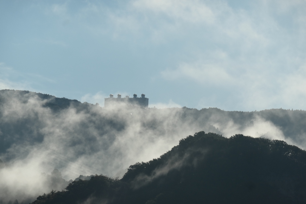 P1022954　雨上がりの朝に