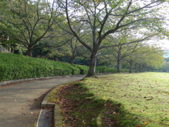 公園