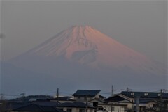 P1260046 (2)    2月21日 今朝の富士山
