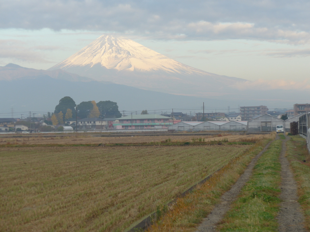 富士山と田圃