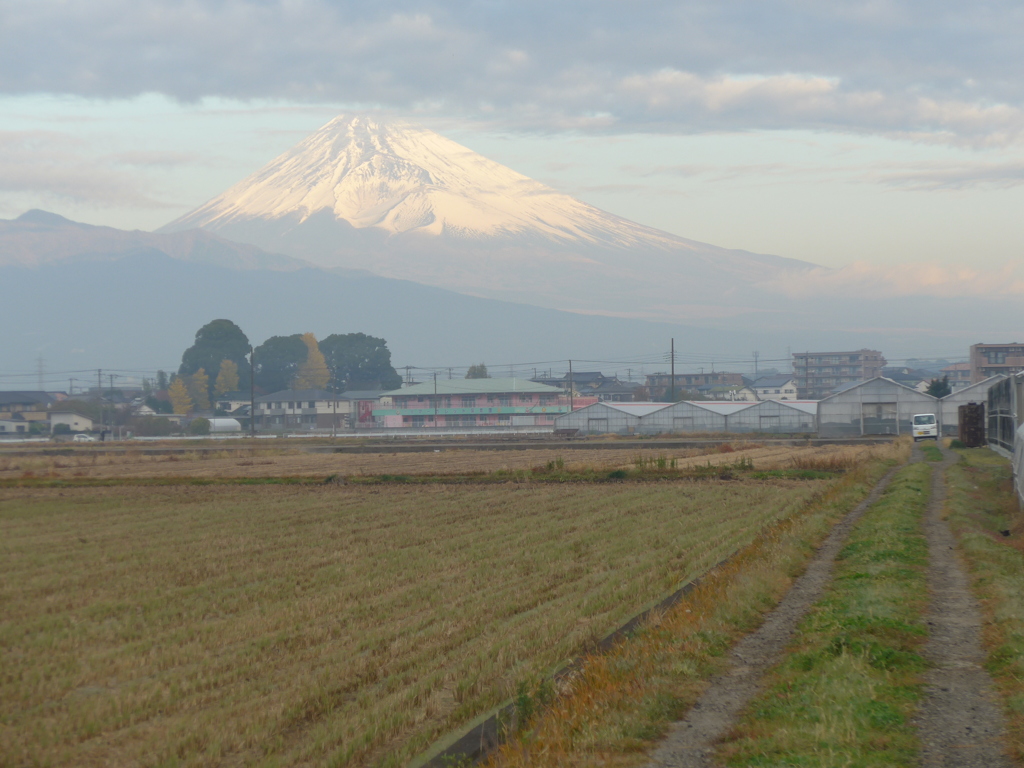 富士山と田圃