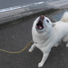 おこられた…