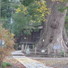 P1130007　とある神社