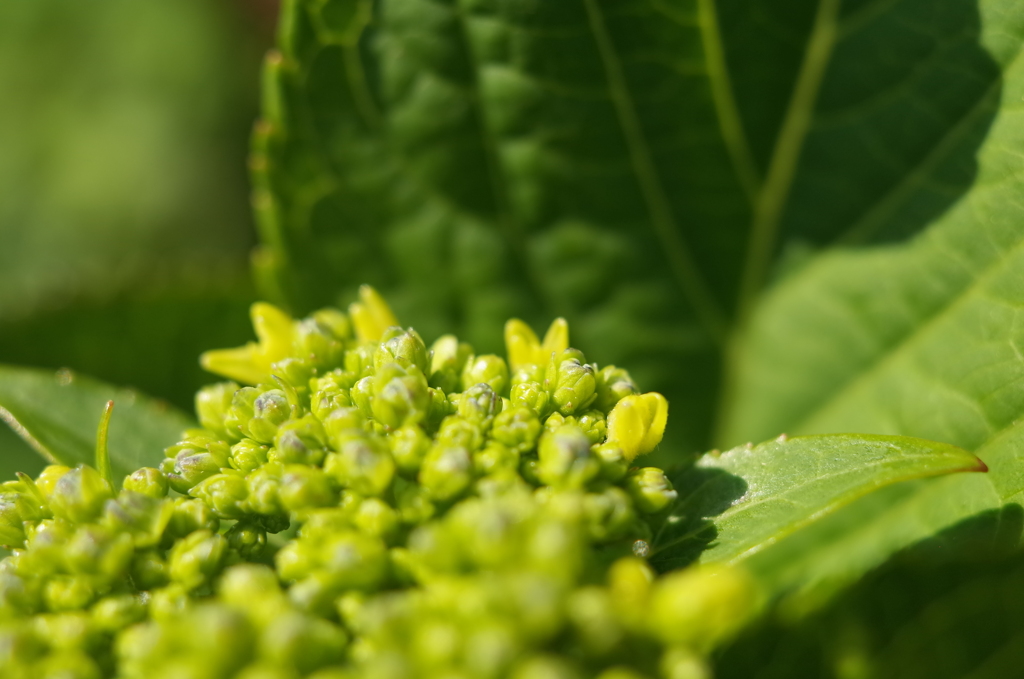 R0353527　始まりの時