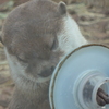 P1150403　そ～っと…