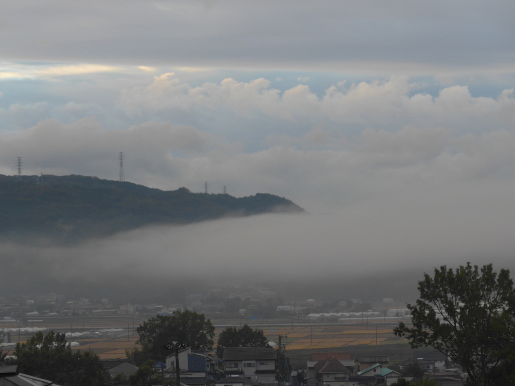 P1120319　ある朝の風景